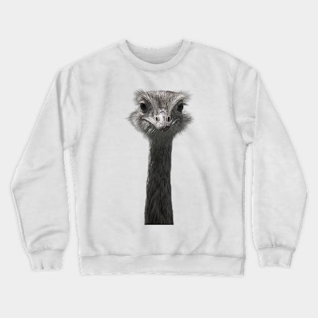 funny ostrich Crewneck Sweatshirt by Shadow3561